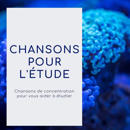 Chansons pour l'étude: Chansons de concentration pour vous aider à étudier et à améliorer la capacité à mémoriser