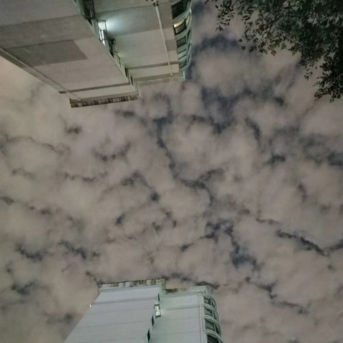 我就住在这世界之巅