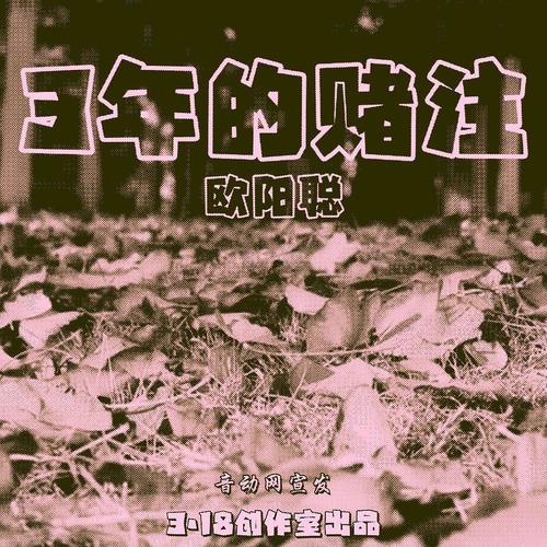 三年的赌注
