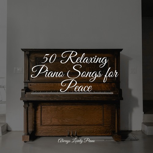 50 Calming Songs for Relaxation & Deep Study