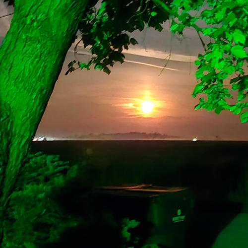 serendipity (feat. abraham.)