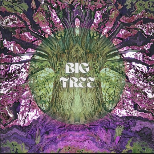 Big Tree (feat. KANG KYUN SUNG) [Remix]