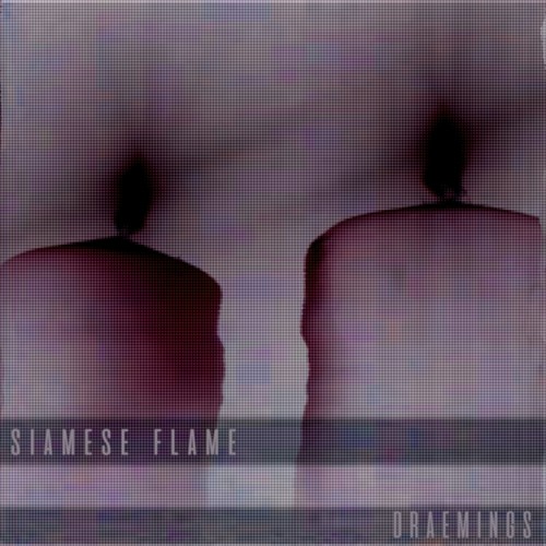 Siamese Flame