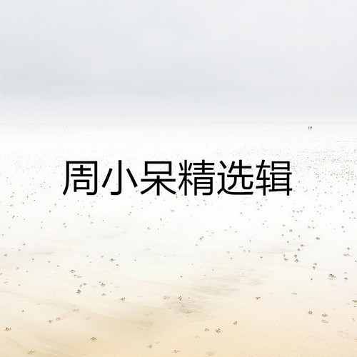 周小呆精选辑