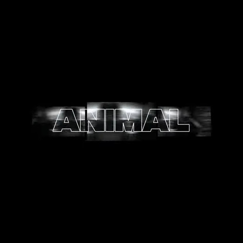 Animal (Explicit)