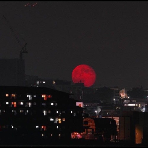 knuck if you buck location (Explicit)