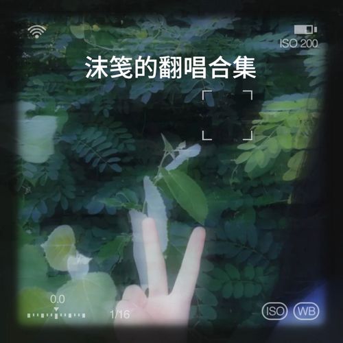沫笺的翻唱合集