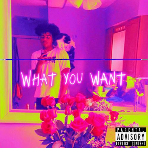WHATYOUWANT? (Explicit)