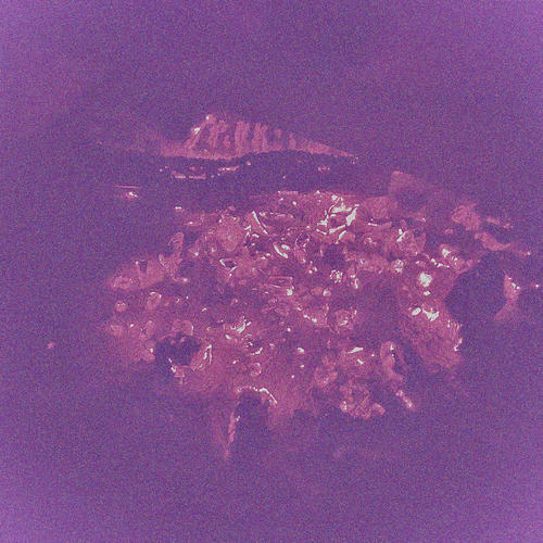 The All Consuming Island