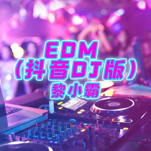 EDM(抖音DJ版)
