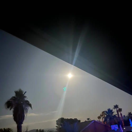 -ˋˏ ༻❁༺ ˎˊ-