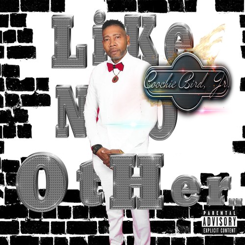 Like No Other.. (Explicit)