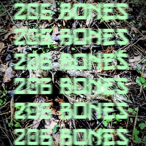206 Bones (Explicit)