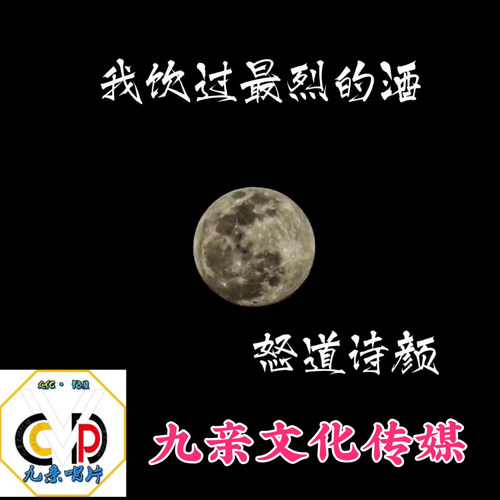 我饮过最烈的酒