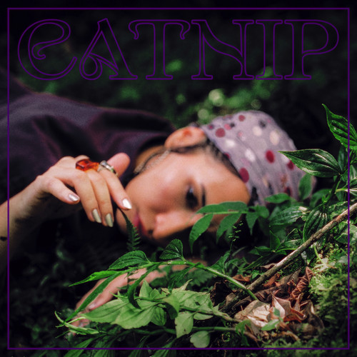 Catnip