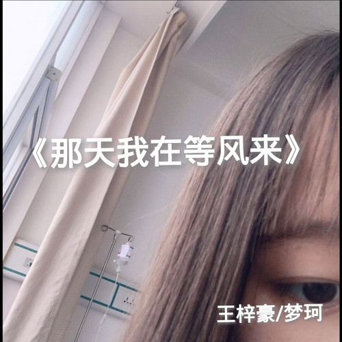 那天我在等风来