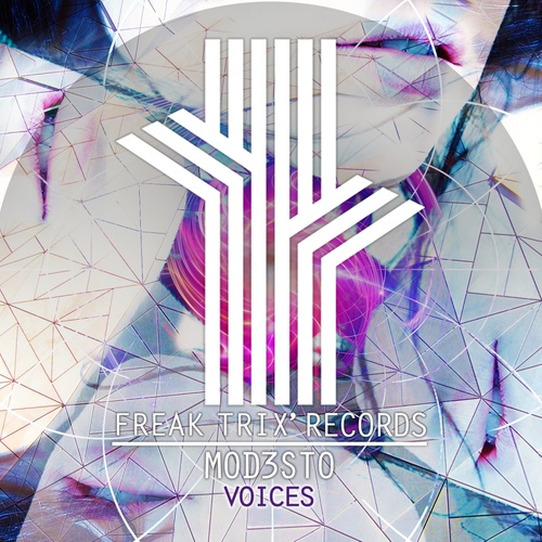 Voices (声音)