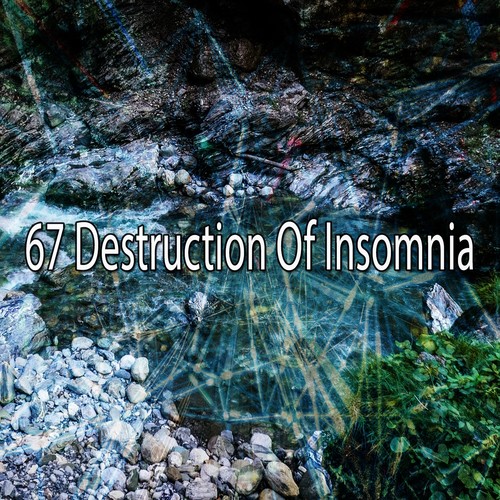 67 Destruction of Insomnia