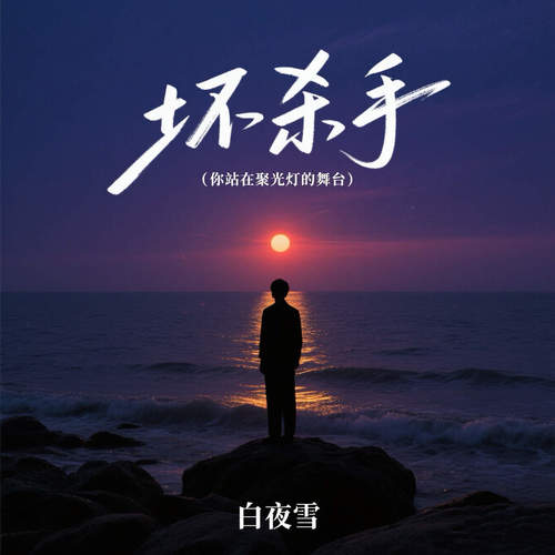 坏杀手 (你站在聚光灯的舞台)