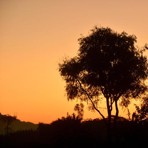 You Can't Always Get What You Want