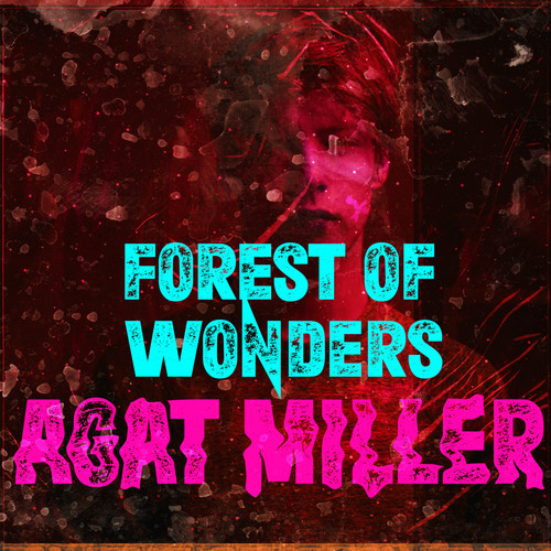 Forest of Wonders