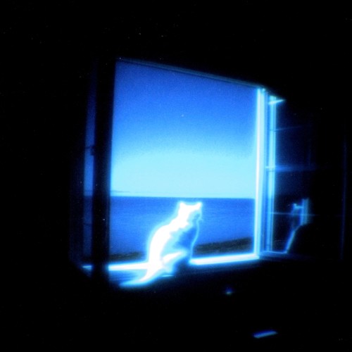 AUDIO MESSAGE (Explicit)