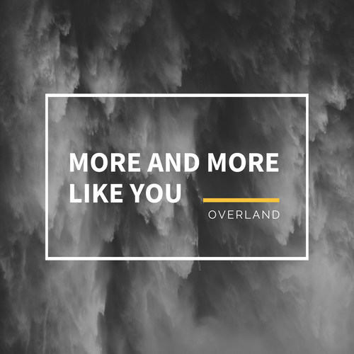 More and More Like You