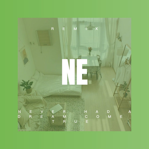 Never Had A Dream Come True