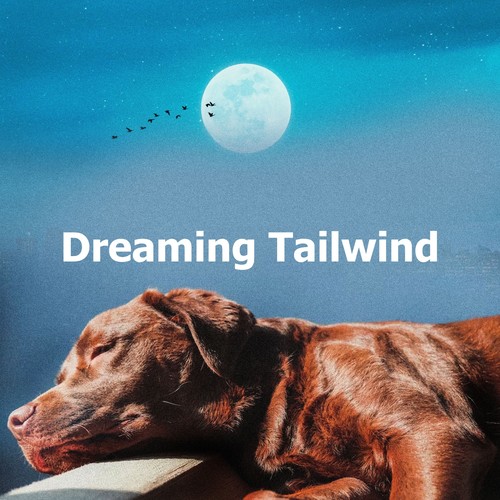 Dreaming Tailwind