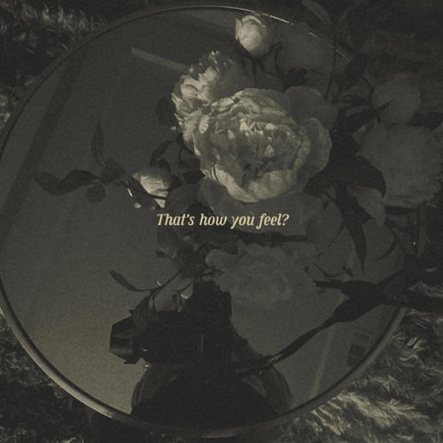 THATS HOW YOU FEEL? (feat. CALLMEDIM) [Explicit]