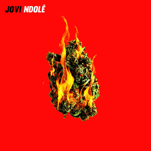 Ndolé