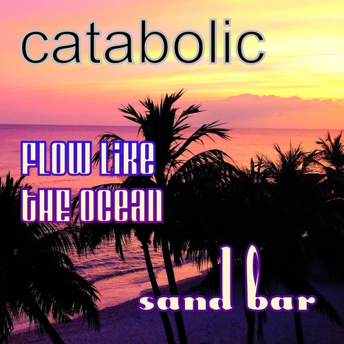 Flow Like the Ocean (Radio Mix)