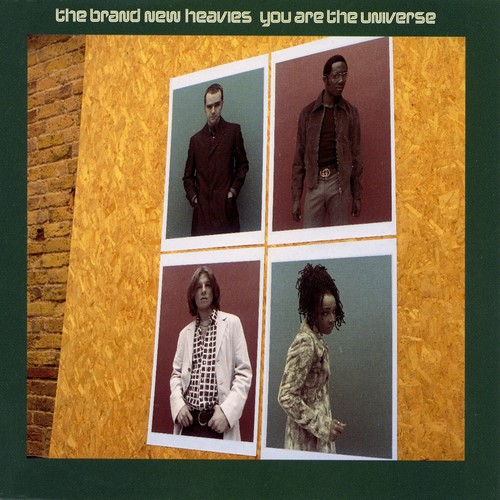 You Are The Universe