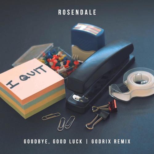 Goodbye, Good Luck (Godrix Remix) [Explicit]