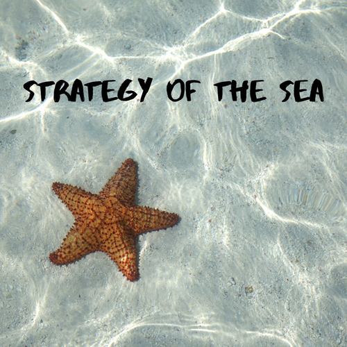 Strategy of the Sea