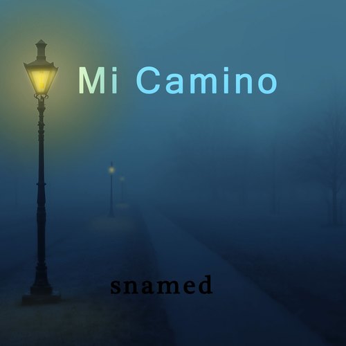 Mi Camino