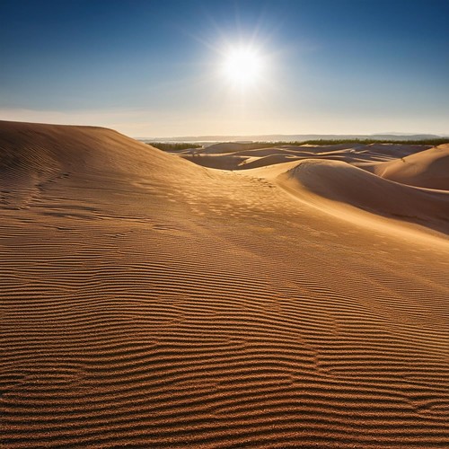 Música De Meditación: Ritmos Para Una Mente Clara