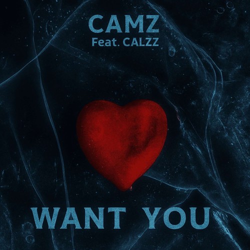 Want you (Explicit)