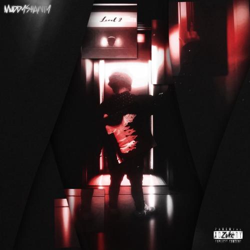 Level 2 (Explicit)