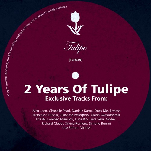 Two Years Of Tulipe