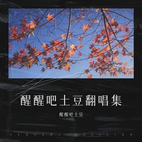 醒醒吧土豆翻唱集