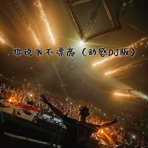 你说我不漂亮 (动感DJ版)