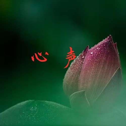 心声