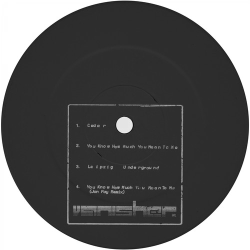 You Know How Much You Mean to Me