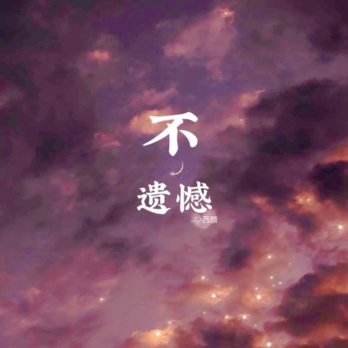 不遗憾
