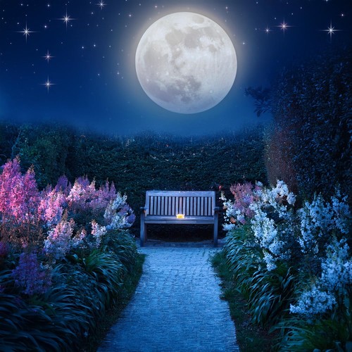 Descanso Nocturno: Paisajes Sonoros Para Dormir