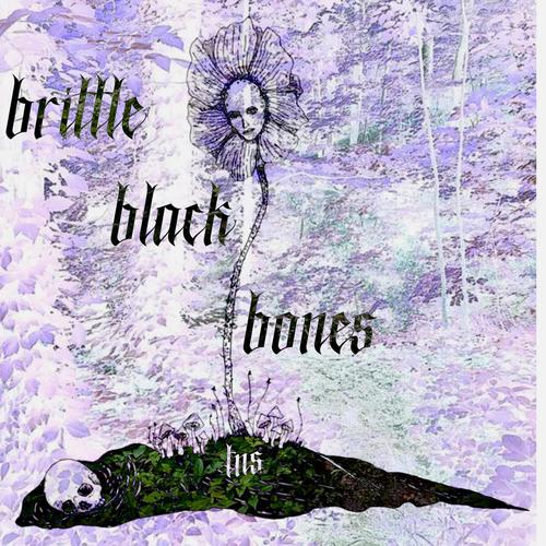brittle black bones