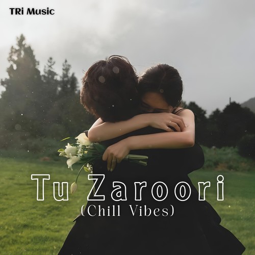 Tu Zaroori (Chill Vibes)