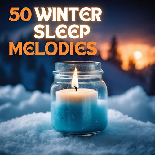 50 Winter Sleep Melodies - Wonderland New Age Sounds for Sleeping at Last