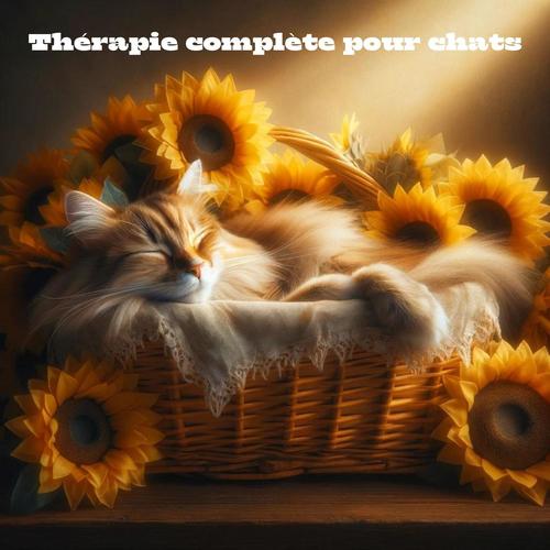 Thérapie complète pour chats : Liste de lecture pour chatons reposants